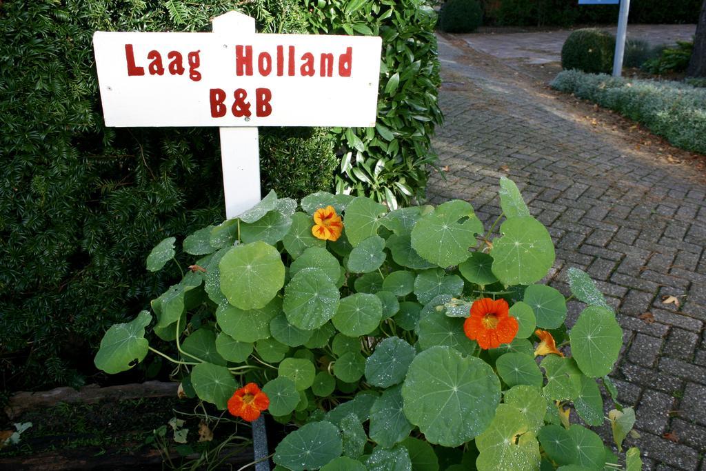 Laag Holland Rooms Purmerend Buitenkant foto